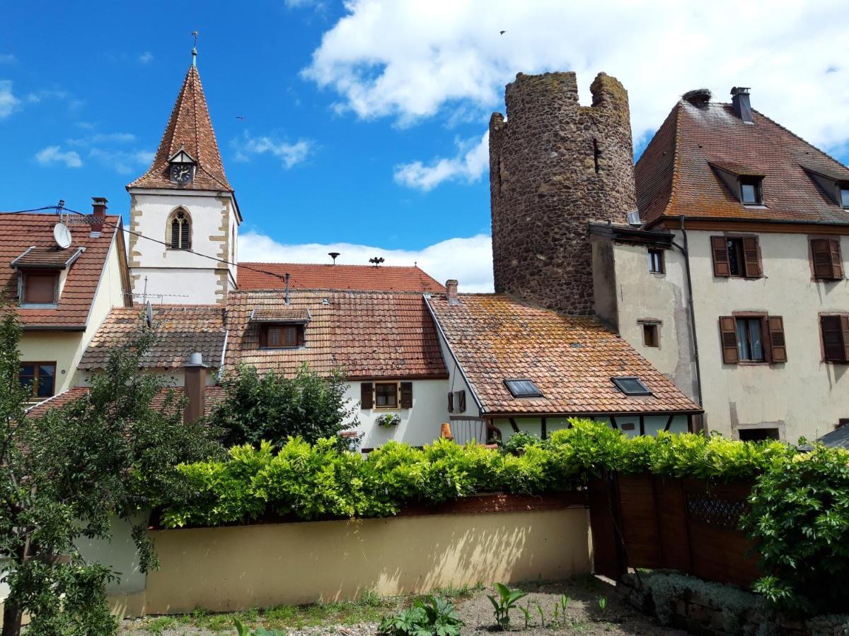 "La Vigne Dort" Cocon Romantique Herrlisheim-près-Colmar エクステリア 写真